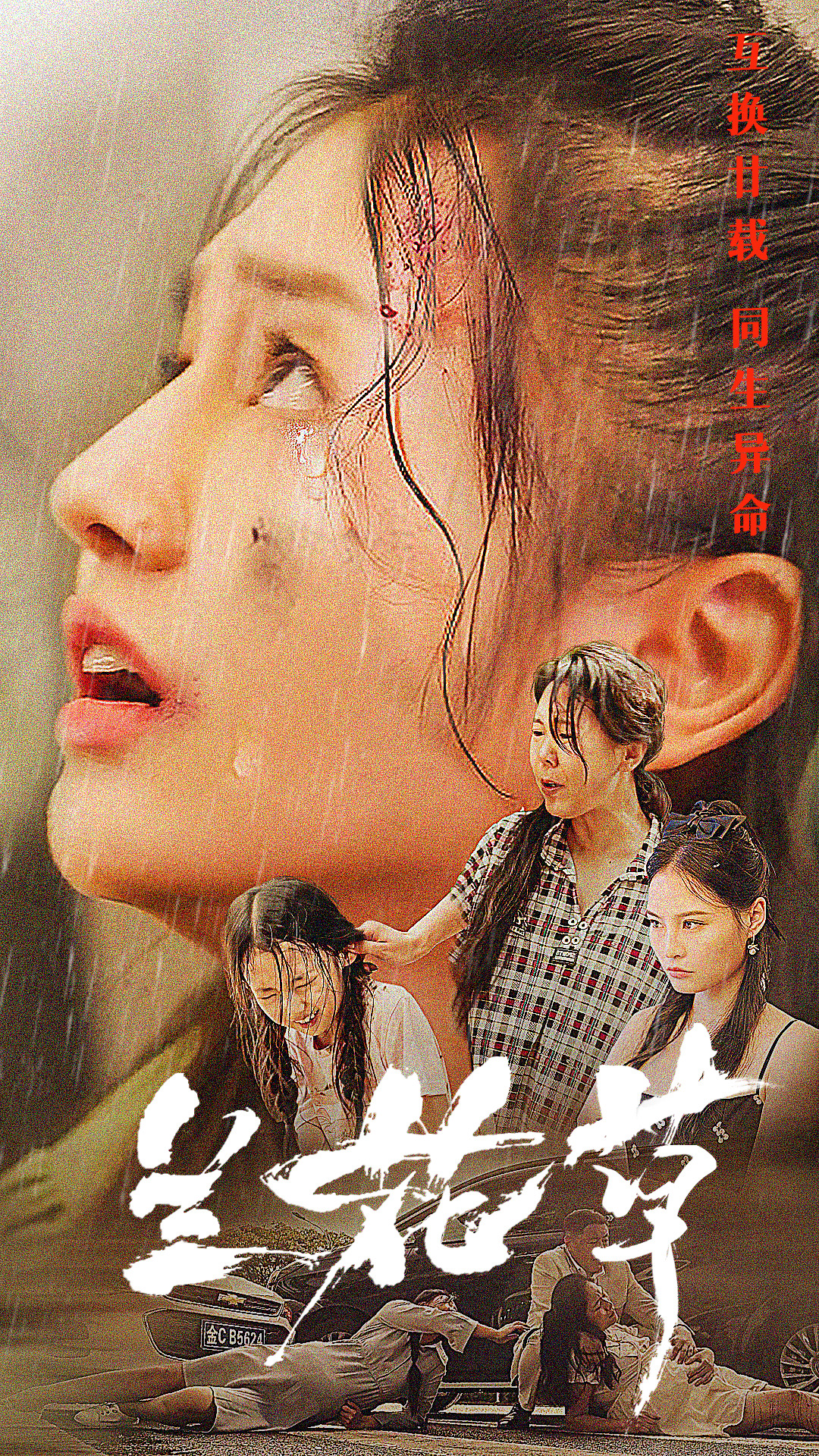《蘭花草》短劇封面